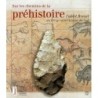 Sur les chemins de la préhistoire : L'abbé Breuil du Périgord à l'Afrique du Sud