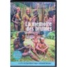 La mémoire des brumes : traversée interdite chez les Papous de Nouvelle-Guinée