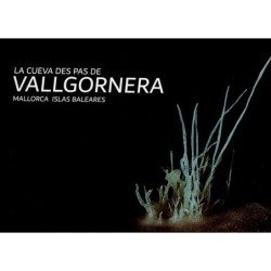 La Cueva des Pas de Vallgornera Mallorca Islas Baleares