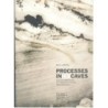 Processes inicecaves